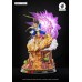 Dragon Ball Z - Vegeta Galick Gun - Tsume